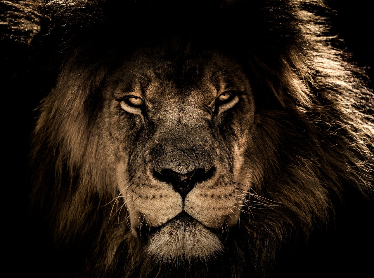 Technology Advancements Aiding in Conservation